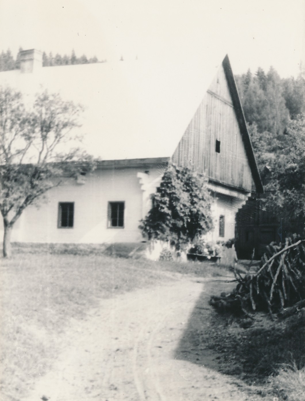 eika image